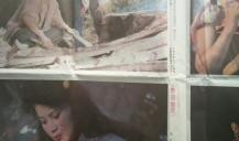 野店电影在线观看,在线观看，探索未知乡村秘境