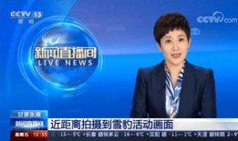 张掖记者爆料新闻最新,揭秘当地重大事件背后真相